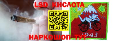 ГАЛЛЮЦИНОГЕННЫЕ ГРИБЫ Краснокаменск