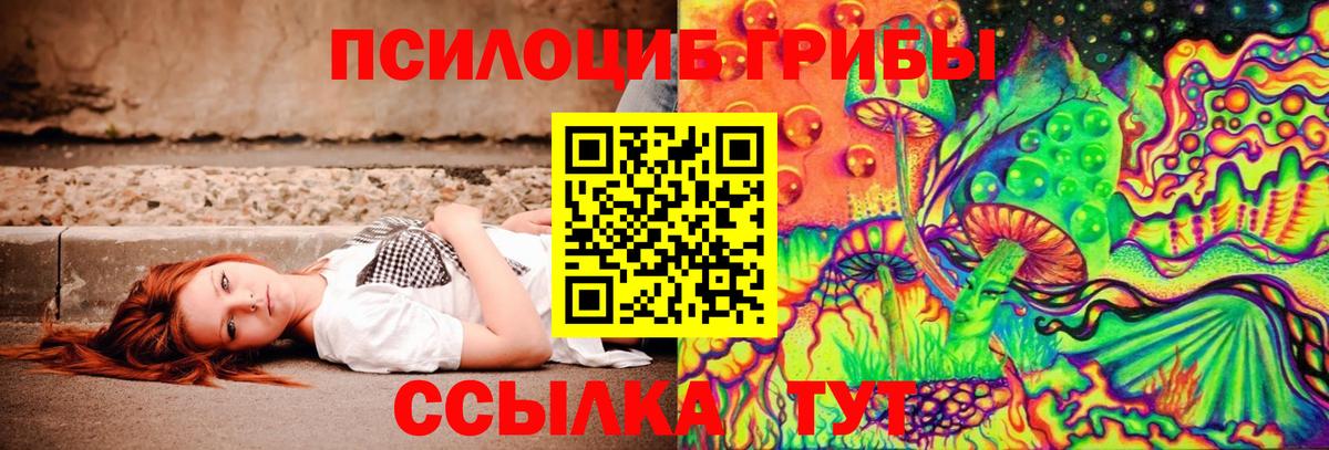 Псилоцибиновые грибы Magic Shrooms Ессентуки