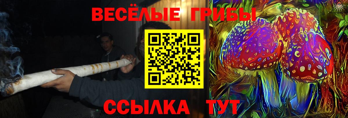 Галлюциногенные грибы мицелий  Вход с VPN  Ессентуки 